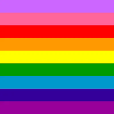 LGBTQ+ Pride Flags - Human Rights Campaign