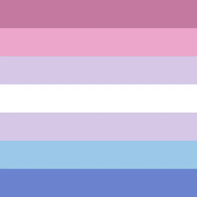 LGBTQ+ Pride Flags - Human Rights Campaign pink and blue pride flag