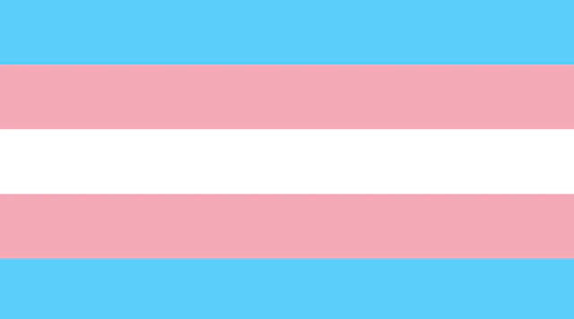 Transgender Pride Flag.