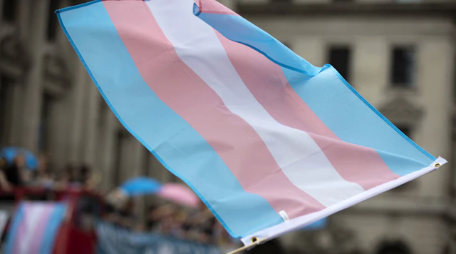 A waving flag with trans colors in the order of blue, pink, white, pink, blue being held by someone we can't see in a crowd in front of a building.