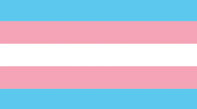 Transgender Pride Flag.